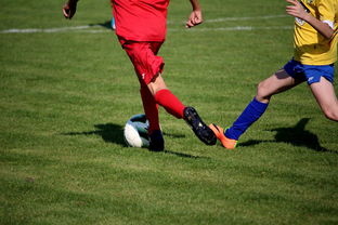 爱游戏在线登录-LPL多个队伍重组计划曝光转会期极度混乱,lpl战队转会期