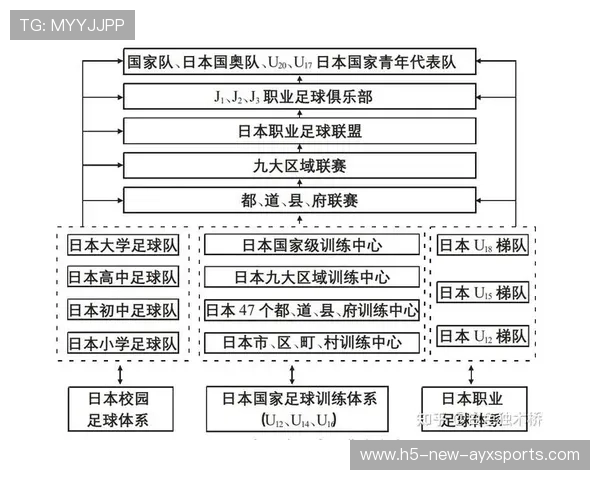 足球联赛在青训扶持中推动俱乐部与学校共建学训基地并实现学分互认 足球联赛在青训扶持中推动俱乐部与学校共建学训基地并实现学分互认